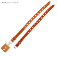 Ошейник кожаный однослойный безразмерный, 45&times;2 см, ОШ 18-39 см, коричневый