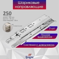 Шариковые направляющие ТУНДРА, с доводчиком 4510, L=250 мм. H=45 мм. 2 шт