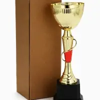 Кубок 195С, наградная фигура, золото, подставка пластик, 29.5&times;10&times;10 см