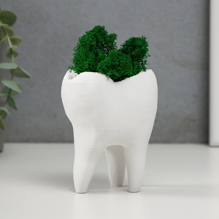 Кашпо бетонное Кашпо бетонное "Зуб" со мхом белый 7,5х6,5х9,5 см (мох зеленый стабилизированный)