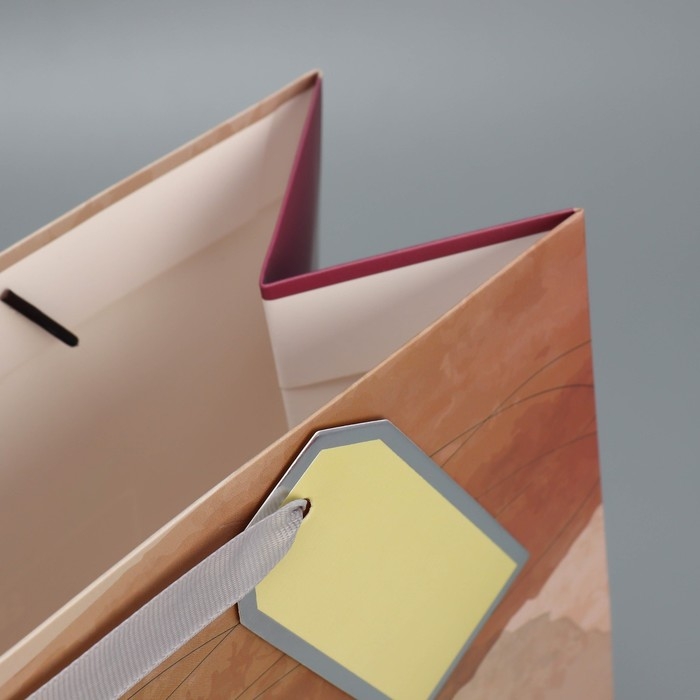 Пакет подарочный ламинированный, упаковка, «Ты особенный», 25.4 х 30.5 х 12.7 см Пакет подарочный ламинированный, упаковка, «Ты особенный», 25.4 х 30.5 х 12.7 см