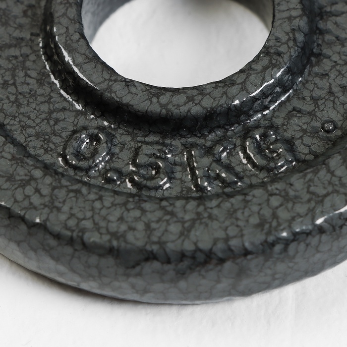 Диск  0,5 кг, d=29 мм Диск  0,5 кг, d=29 мм