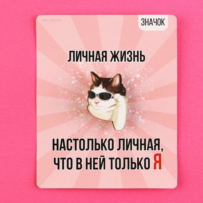 Значок деревянный «Кот в очках», серия мемы , 2,4 х 3,2 см Значок деревянный «Кот в очках», серия мемы , 2,4 х 3,2 см