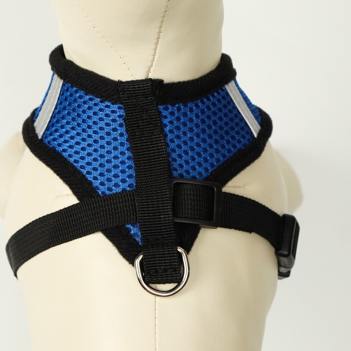 Комплект амуниции с мягкой шлейкой и светоотражающей нашивкой, L, ОШ 33 см, ОГ 36-48 см, синий 76143 Комплект амуниции с мягкой шлейкой и светоотражающей нашивкой, L, ОШ 33 см, ОГ 36-48 см, синий 76143