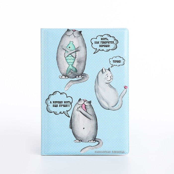 Обложка для паспорта, цвет голубой Обложка для паспорта, цвет голубой