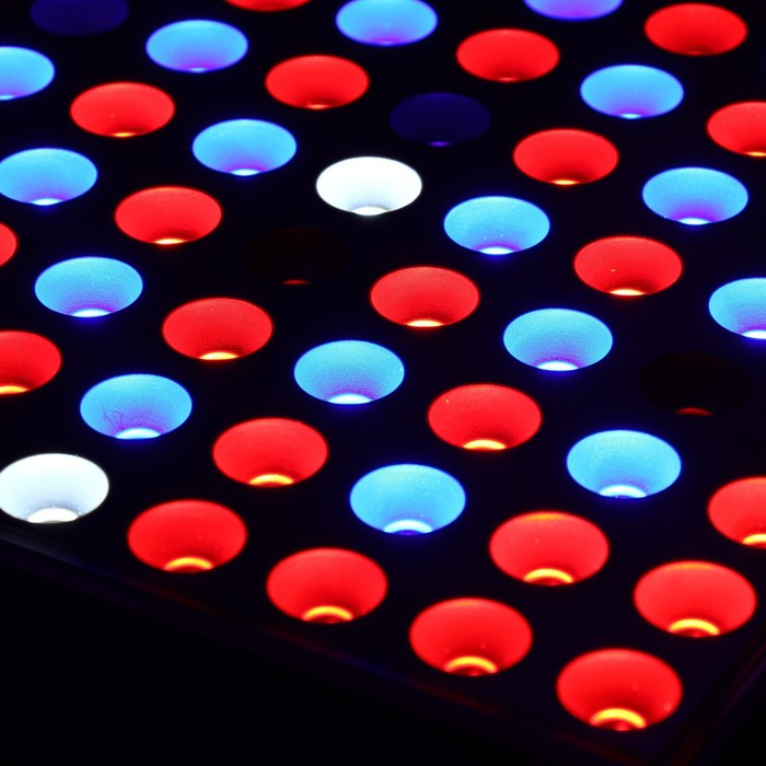 Фитосветильник светодиодный, 50 Вт, 200 мм, IP20, 265 В, полноспектральный Фитосветильник светодиодный, 50 Вт, 200 мм, IP20, 265 В, полноспектральный