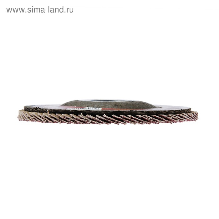 Круг лепестковый торцевой ЛОМ, 115 х 22 мм, Р80 Круг лепестковый торцевой ЛОМ, 115 х 22 мм, Р80