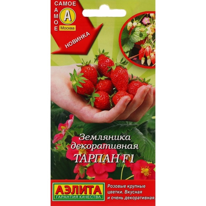 Семена Земляника Семена Земляника "Тарпан", F1, ц/п, 5 шт.