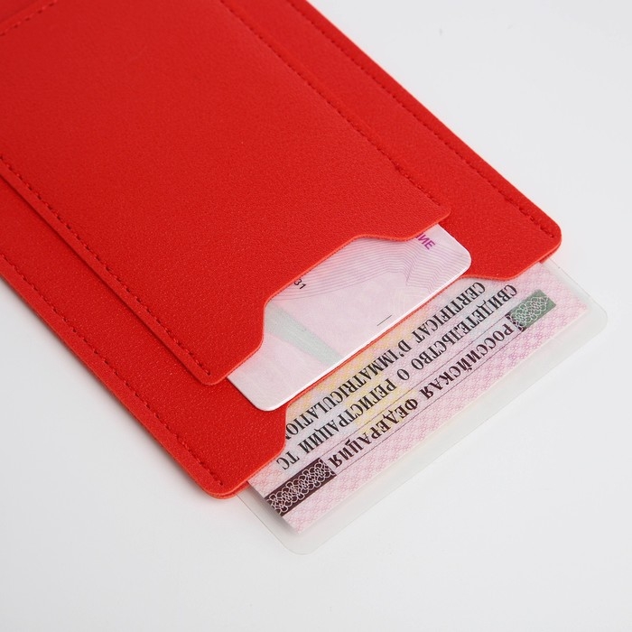 Обложка для автодокументов, цвет красный