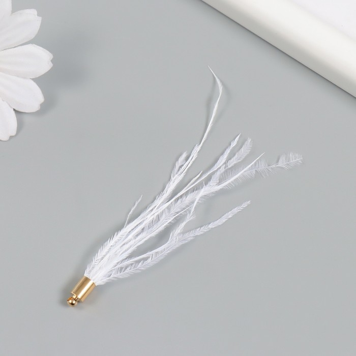 Декор для творчества перо Декор для творчества перо "Кисть Страус" набор 2 шт белый9х0,5 см