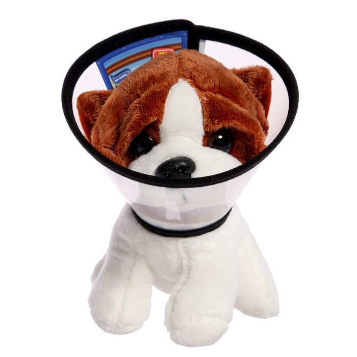 Набор ветеринара «Любимый питомец», 7 предметов Набор ветеринара «Любимый питомец», 7 предметов