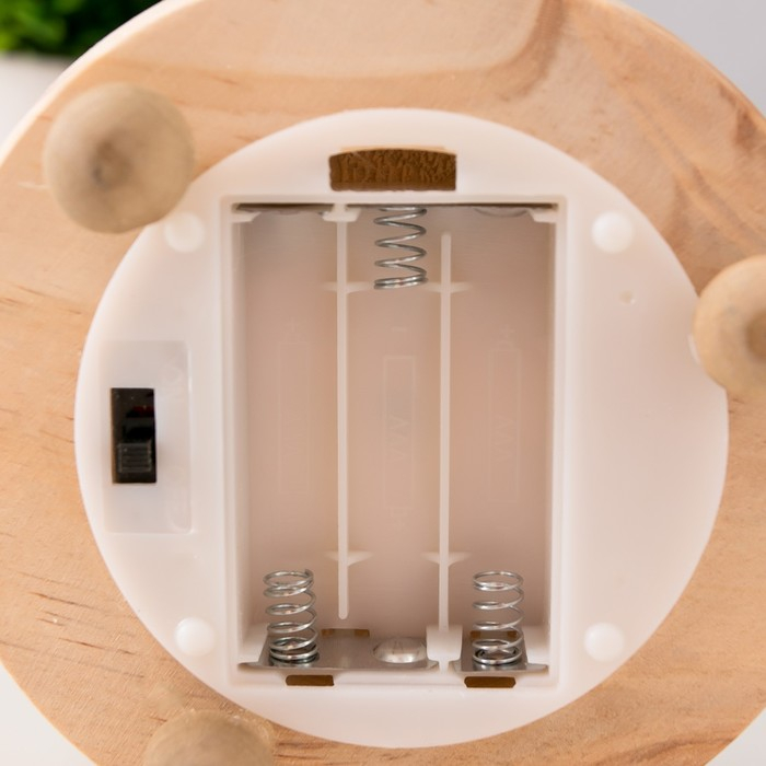 Ночник Ночник "Колба с алой розой" LED от батареек 3ААА 19,5х9,5х9,5 см RISALUX