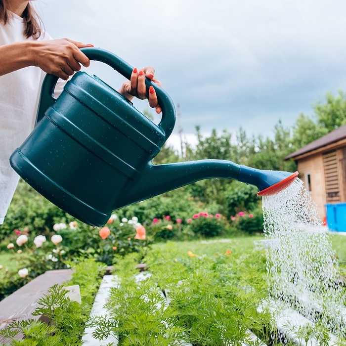 Лейка, 5 л, с рассеивателем, носик d = 30 мм, цвет МИКС Лейка, 5 л, с рассеивателем, носик d = 30 мм, цвет МИКС