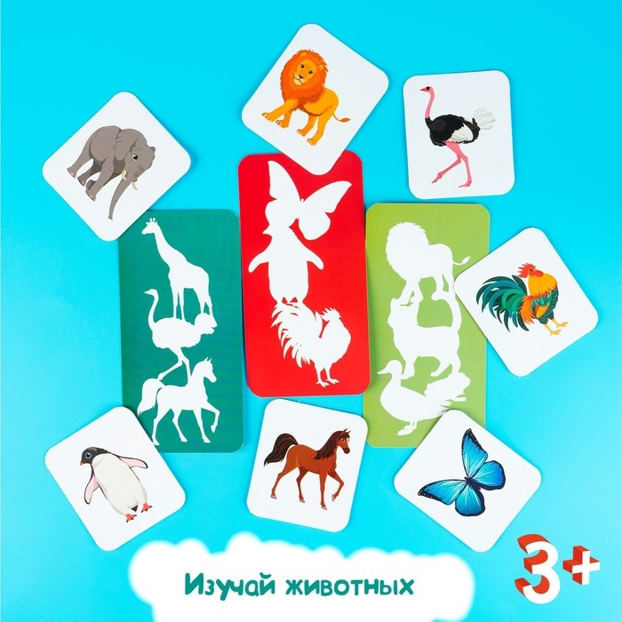 Развивающий набор «Найди по тени» Развивающий набор «Найди по тени»