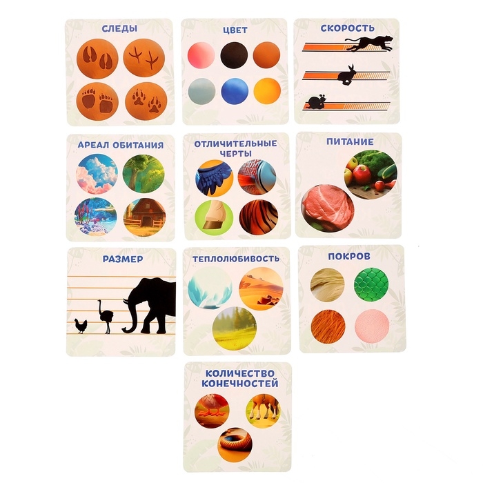 Развивающая игра «Отгадай кто?» Развивающая игра «Отгадай кто?»