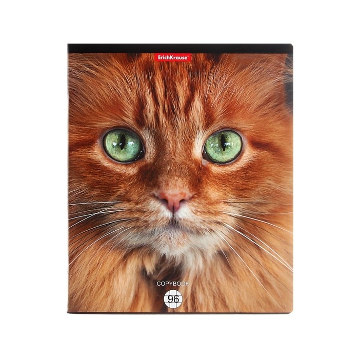 Тетрадь 96 листов в клетку, ErichKrause, Cats, обложка мелованный картон, матовая ламинация, выборочный УФ-лак, блок офсет 100% белизна, МИКС (1 вид в спайке) Тетрадь 96 листов в клетку, ErichKrause, Cats, обложка мелованный картон, матовая ламинация, выборочный УФ-лак, блок офсет 100% белизна, МИКС (1 вид в спайке)