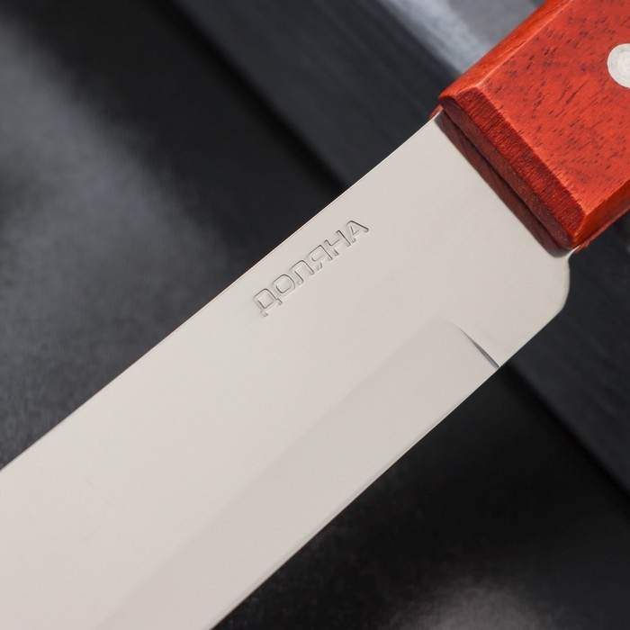 Нож для мяса и стейков Доляна «Мачете», лезвие 10 см