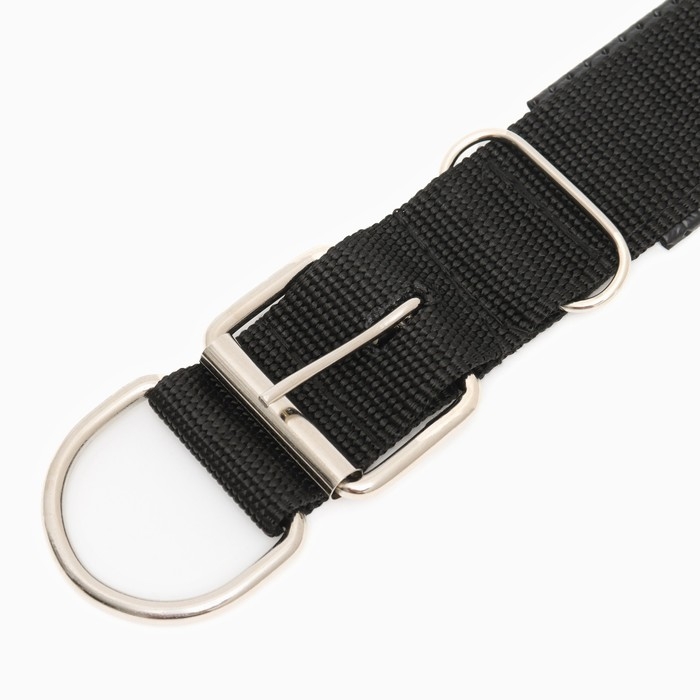 Ошейник  Ошейник "Комфорт" комбинированный, 60 х 4 см, ОШ 45-55 см, чёрный