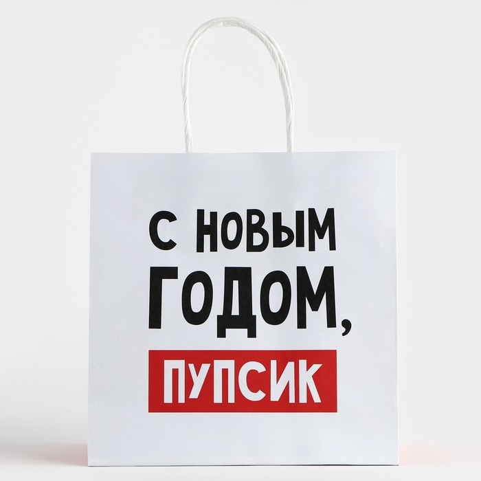 Пакет подарочный новогодний «С Новым годом, пупсик», 22 х 22 х 11 см , Новый год