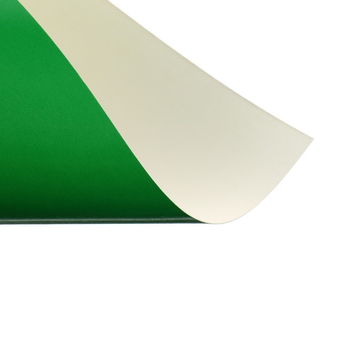 Картон цветной А4 10 листов, 10 цветов Картон цветной А4 10 листов, 10 цветов "Волшебный" мелованный, одностороний, 200г/м² Calligrata, в папке