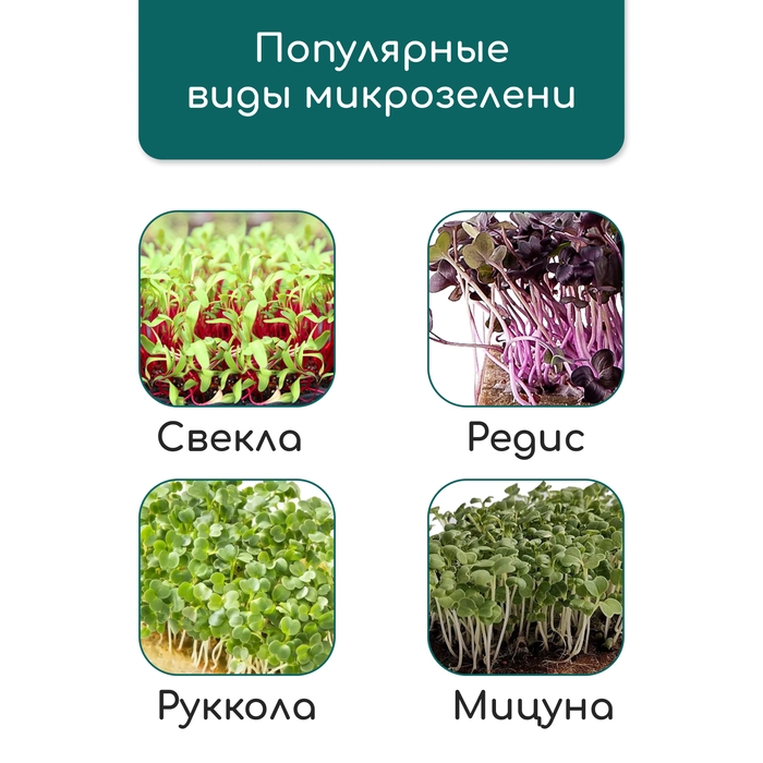 Коврик джутовый для выращивания микрозелени, 10 × 15 см, толщина 1 см, набор 5 шт. Коврик джутовый для выращивания микрозелени, 10 × 15 см, толщина 1 см, набор 5 шт.