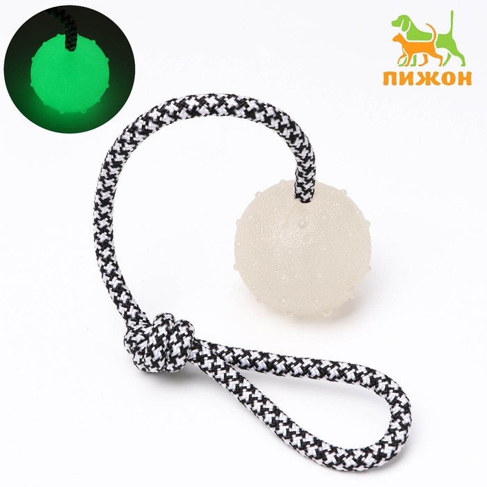 Игрушка для собак Игрушка для собак "Луна", светящаяся в темноте, на канате, 6 см