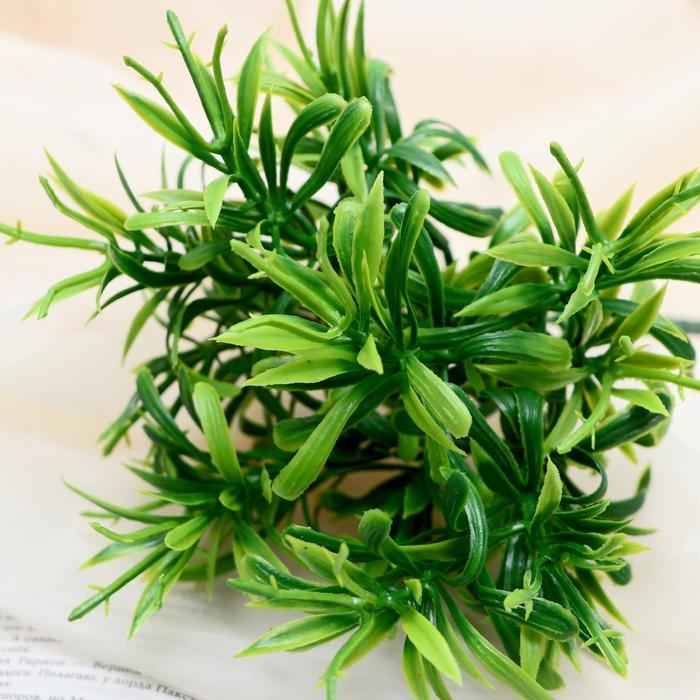 Букет Букет "Мелколистник" 28 см