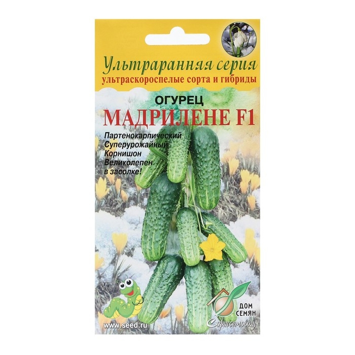 Семена Огурец  Семена Огурец "Мадрилене",  F1, 6 шт