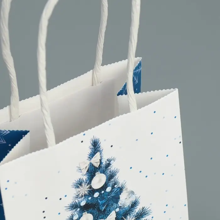 Пакет подарочный новогодний крафтовый «Снежная нежность», 15 х 10 х 6 см Пакет подарочный новогодний крафтовый «Снежная нежность», 15 х 10 х 6 см
