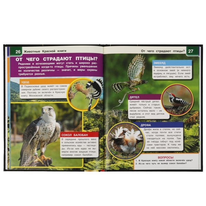 Энциклопедия А4 с дополненной реальностью «Животные красной книги 4D» Энциклопедия А4 с дополненной реальностью «Животные красной книги 4D»