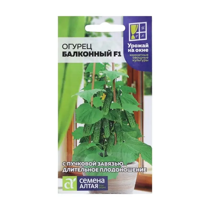 Семена огурца Семена огурца "Балконный", F1, 5 шт.