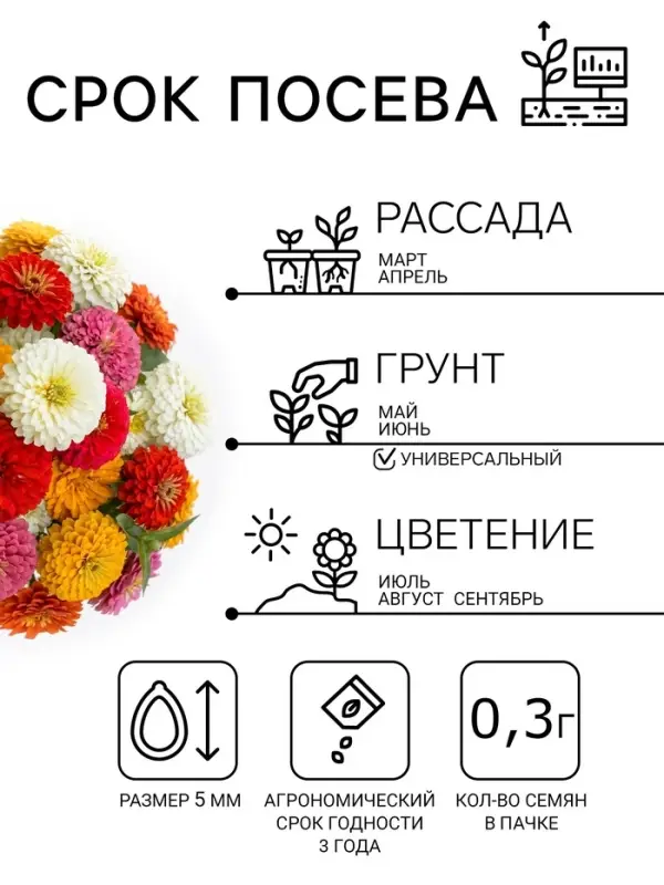 Семена цветов Цинния "Калифорнийские гиганты" смесь, серия Кольчуга, О, 0,3 г