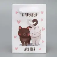 Пакет подарочный ламинированный, упаковка, «Котики», 7×10×7 см Пакет подарочный ламинированный, упаковка, «Котики», 7×10×7 см