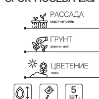Семена цветов Колокольчик &laquo;Рапидо Уайт&raquo;, 5 шт., &laquo;Золотая Сотка Алтая&raquo;