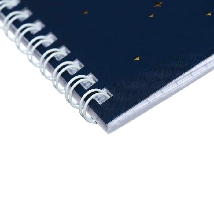 Тетрадь 48 листов в клетку на гребне Тетрадь 48 листов в клетку на гребне "Гарри Поттер", обложка мелованный картон, матовая ламинация, 3D фольга, блок офсет, 4 вида МИКС