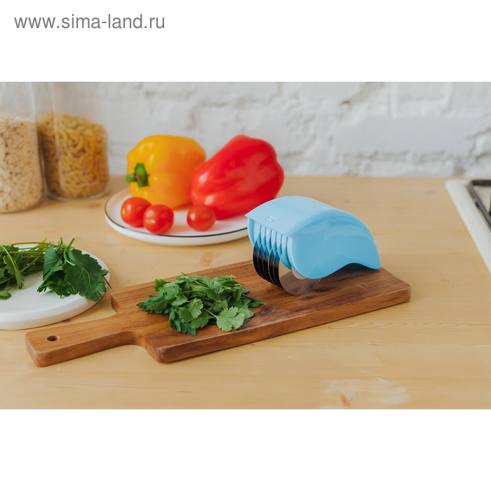 Измельчитель для зелени «Агат», 13×6 см, цвет МИКС Измельчитель для зелени «Агат», 13×6 см, цвет МИКС