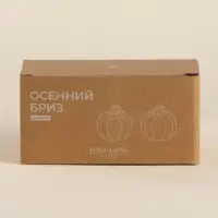 Набор для специй SL Home &laquo;Осенний бриз&raquo;, 2 предмета, 100 мл, доломит, белый