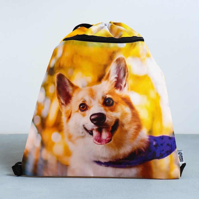 Мешок для обуви «Забавный корги» 2 секции, 30×40 см Мешок для обуви «Забавный корги» 2 секции, 30×40 см