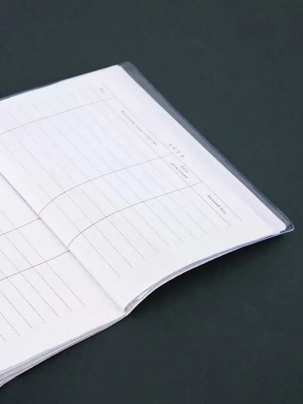 Чехлы для листов паспорта, 10 листов, прозрачный