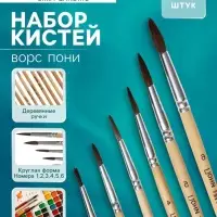 Набор кистей для рисования, пони, 6 штук: № 1, 2, 3, 4, 5, 6, круглые, деревянная ручка, международный размер