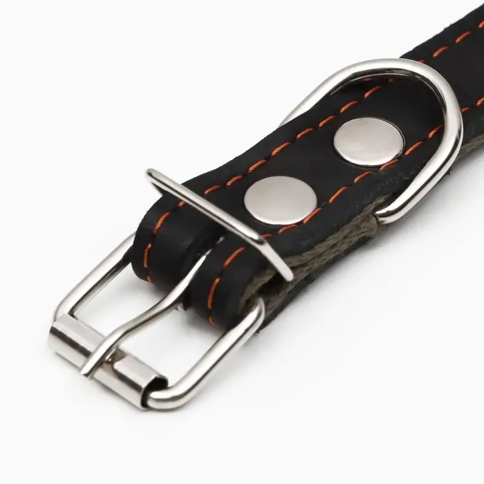 Ошейник комбинированный, безразмерный, 54&times;2.5 см, ОШ 17-45 см, кожа, брезент, чёрный