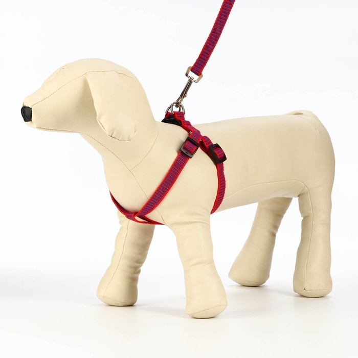 Комплект амуниции рельефный, поводок 120 х 1,5 см, ОГ 36-49 см, красно-синий