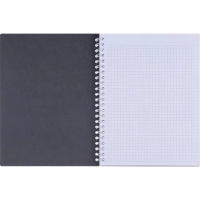 Бизнес-тетрадь, BS, А5, 80л., клетка, спираль. Botanica, агава N4185