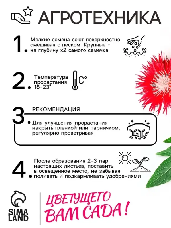 Семена   Астра Ажурная россыпь, смесь окрасок , 0,2г