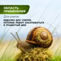Мох сфагнум для террариумов &laquo;Рецепты дедушки Никиты&raquo; 2 л