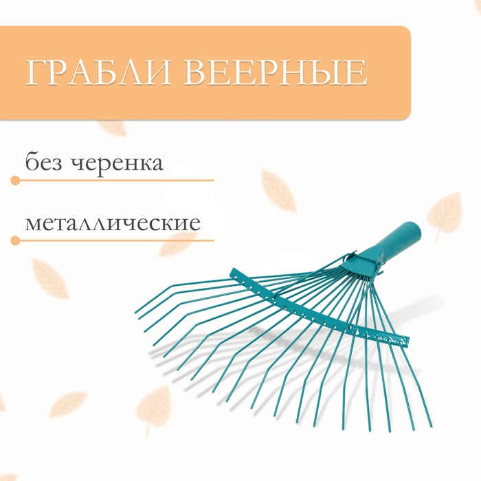 Грабли веерные, проволочные, 18 зубцов, тулейка 30 мм, без черенка