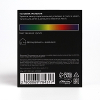 Световой прибор «Диско-шар» 12 см, Е27, свечение RGB