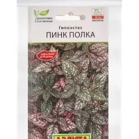 Набор семян Гипоэстес &laquo;Пинк Полка&raquo;, 5 шт.