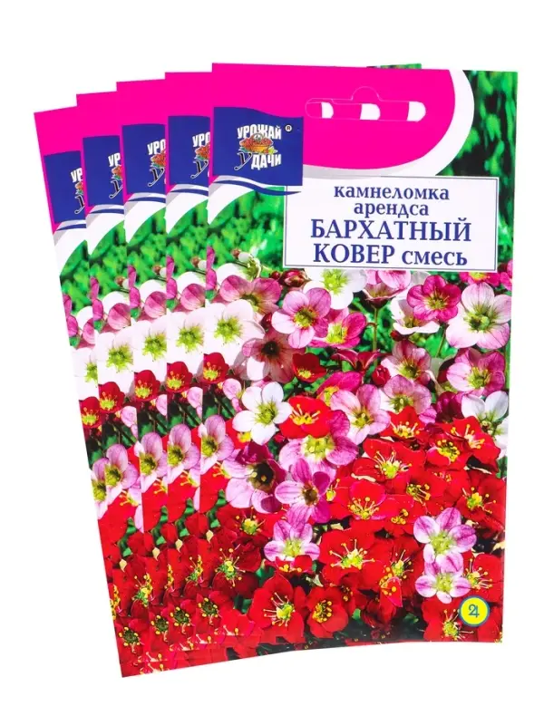 Набор семян Камнеломка Набор семян Камнеломка "Бархатный ковер", 5 шт.