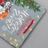 Пакет подарочный новогодний ламинированный, «Новогодние шары» , 18×10×22.3 см Пакет подарочный новогодний ламинированный, «Новогодние шары» , 18×10×22.3 см